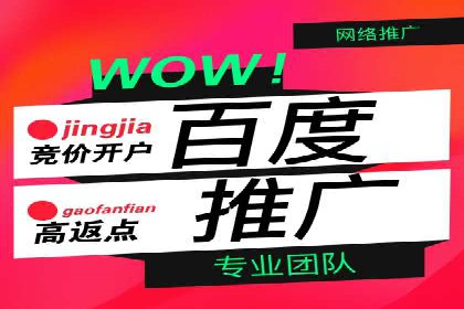 竞价推广实战经验：案例分析与实践